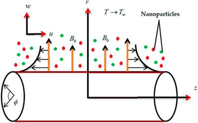 Thermophysical features of Ellis hybrid nanofluid flow with surface-catalyzed reaction and irreversibility analysis subjected to porous cylindrical surface